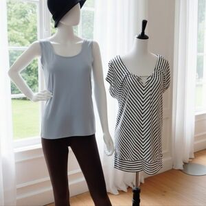White House Black Market Bundle – Shimmery Blue Tank & Chevron Stripe Tunic Sz M
